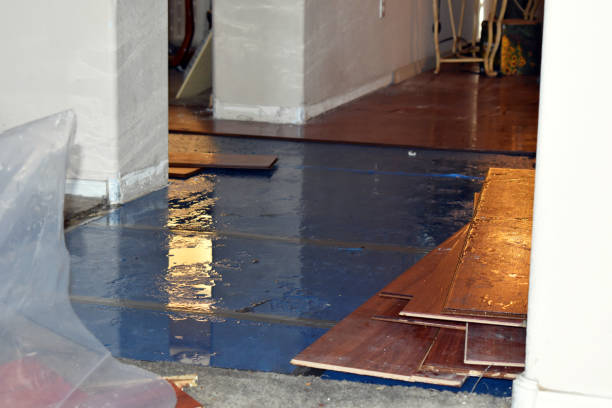 Professional Burst Pipe Cleanup technician working in Peabody, MA